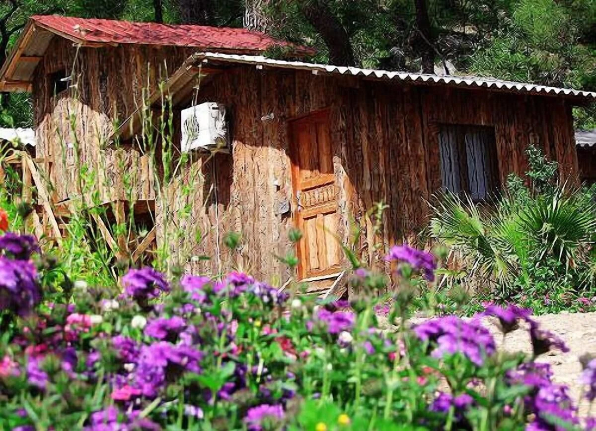 Sabans Treehouses Olympos Turkey